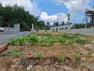 Bán đất thổ vườn Nhơn Trạch xã Phước An, diện tích 493m2 có 190m thổ cư