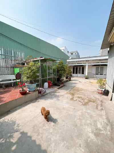 Bán nhà Vườn Lài, Phường An Phú Đông, Quận 12, ngang 8m, giảm giá còn 8.x tỷ