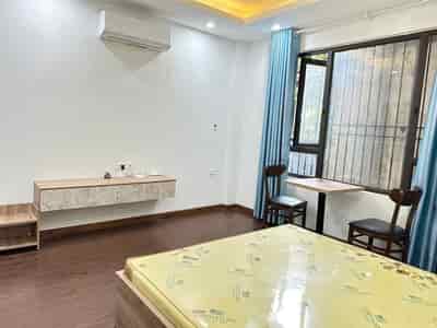 Cho thuê phòng 30m2 CCMN ở ngõ 29B, 387 Vũ Tông Phan Thanh Xuân, thang máy nội thất đẹp, đường thông trăm ngả