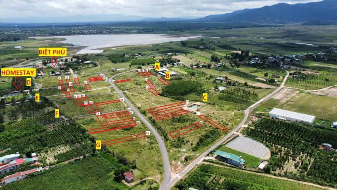 Bán đất nền Pleiku Biển Hồ làm mô hình farm giá siêu rẻ lợi nhuận cao