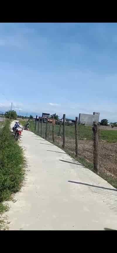 Đất nông nghiêp, mặt đường bê tông tại xã Phước Thuận, Ninh Thuận
