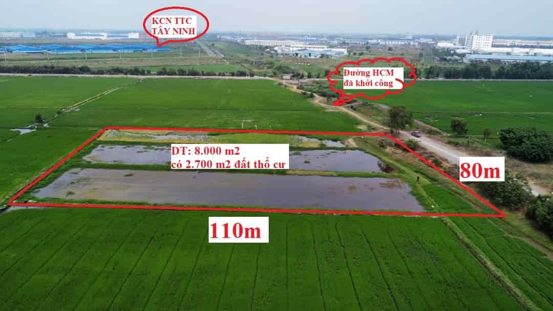 Cần bán hơn 8.000m2 đất mặt tiền đường Hồ Chí Minh, Chơn Thành tại huyện Đức Hòa, tỉnh Long An