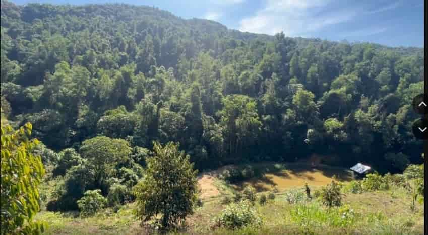 Cần bán lô đất đẹp vị trí đắc địa tại huyện Cát Tiên, Lâm Đồng