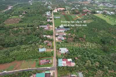 Sở hữu ngay lô đất mặt tiền đường siêu đẹp vị trí đặc địa tại  Thôn An Bình, Xã Lộc An, Huyện Bảo