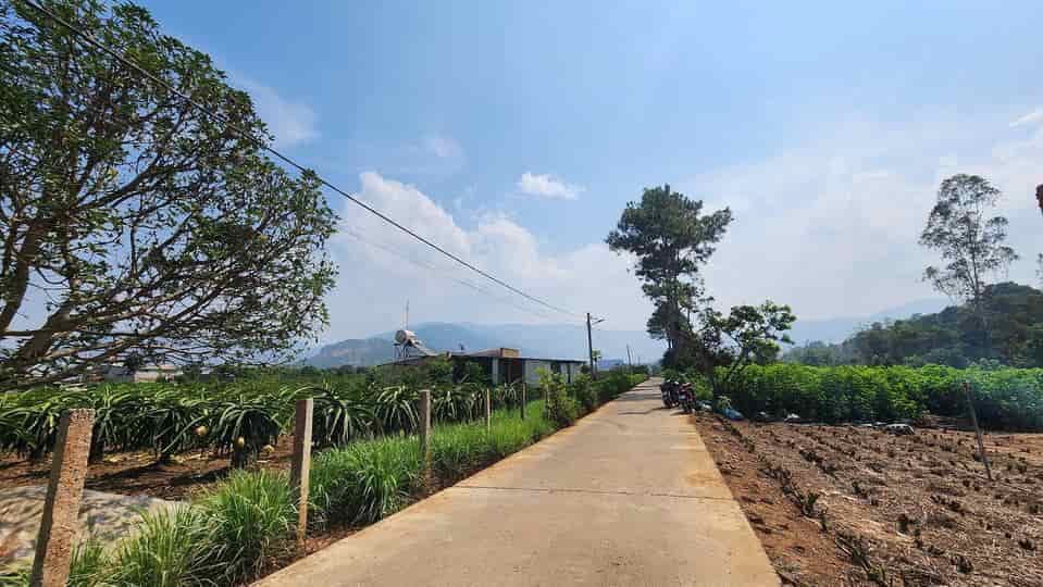 Bán đất đẹp, vị trí đắc địa tại xã Đông Thanh, Huyện Lâm Hà, Lâm Đồng