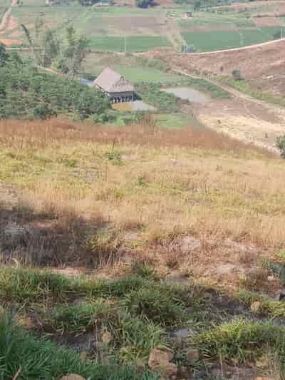 Bán đất đẹp, vị trí đắc địa tại xã Tà Nung, TP Đà Lạt, Lâm Đồng