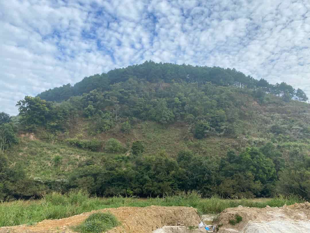 Bán đất đẹp vị trí đắc địa tại Huyện Lâm Hà, Lâm Đồng