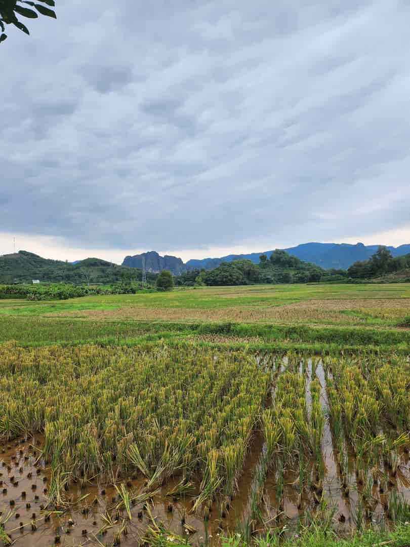 Bán đất đẹp, vị trí đắc địa tại Xóm Khì, Thị trấn Mãn Đức, huyện Tân Lạc, tỉnh Hoà Bình