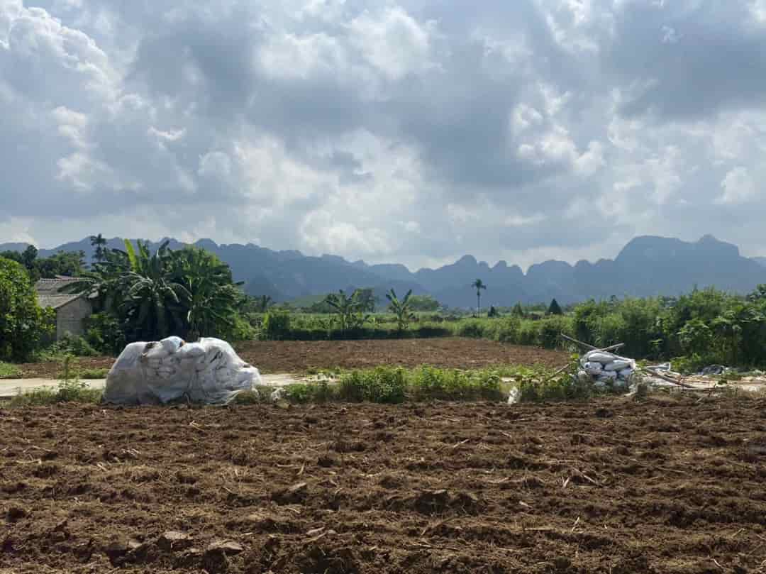 Đất chính chủ - giá tốt - vị trí đẹp tại thôn An Ninh, xã Phú Nghĩa, huyện Lạc Thuỷ, Hoà Bình