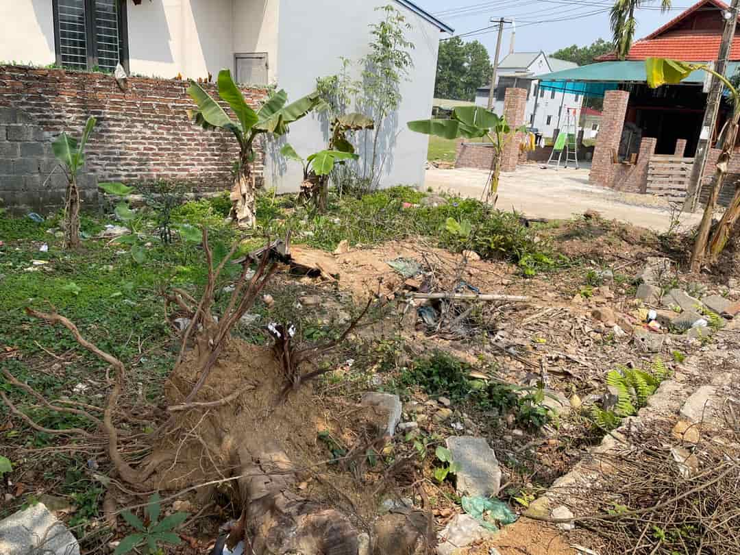 Lương Sơn, tại Thanh Cao, Hoà Bình