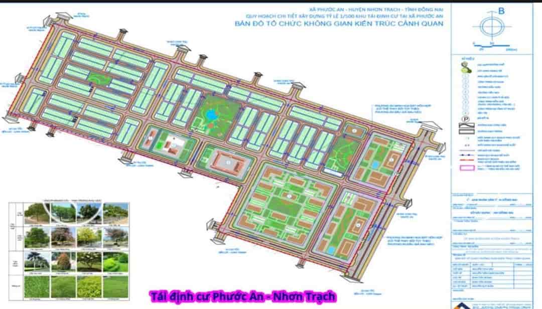 Đất chính chủ, giá tốt, lúa non tái định cư Phước An, Nhơn Trạch, Đồng Nai