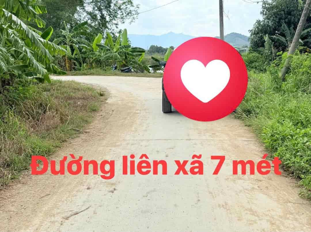 Chỉ 2 lô duy nhất full thổ cư Phước Lâm, Ninh Xuân, Ninh Hoà, Khánh Hoà giá rẻ