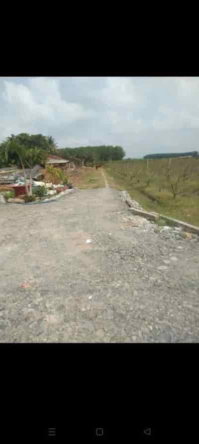 Cần bán đất mặt tiền đường DT793 tại Tân Bình, Tây Ninh