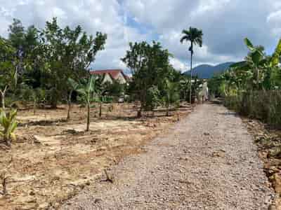 Chỉ 250 triẹu mua được lô đất có thổ tại Khánh Vĩnh
