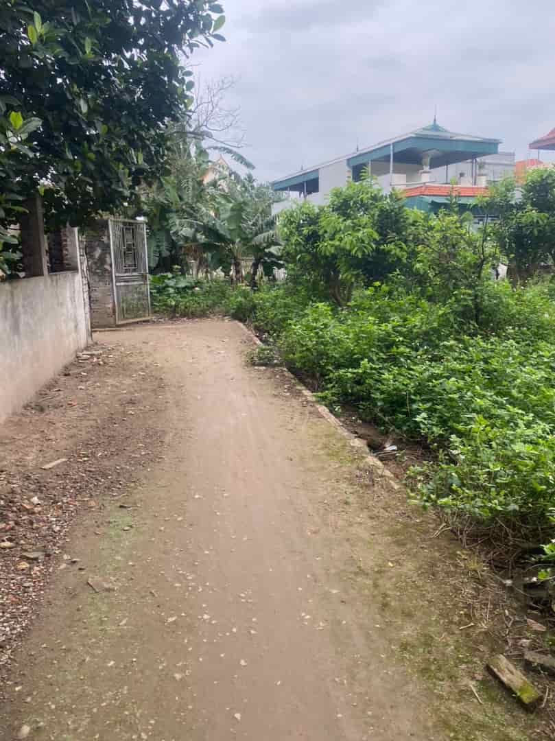 Chính chủ cần bán mảnh đất tại Vĩnh Lộc, Thư Phú, Thường Tín, Hà Nội.