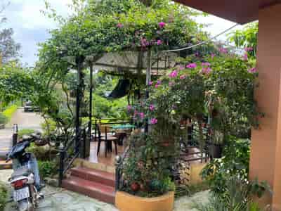 Chính chủ cần tiền bán nhà vườn tại khu du lịch sinh thái Hồng Vân, Thường Tín, Hà Nội
