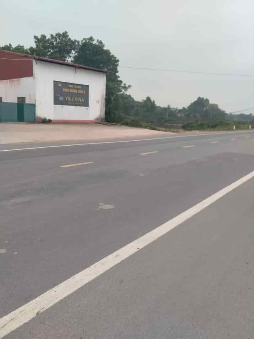 Chính chủ cần bán nhanh lô đất tại Nghĩa Trung, huyện Viêt Yên, tỉnh Bắc Giang