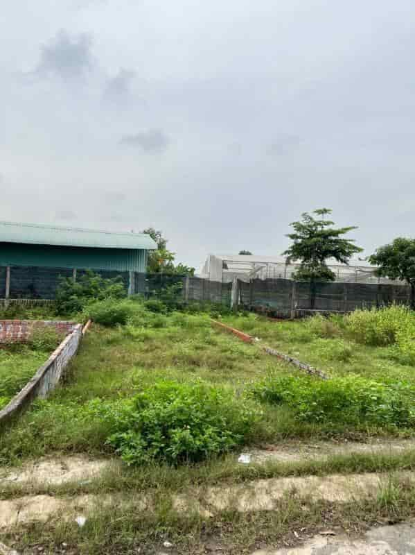Bán lô đất ngộp ở Phước Hiệp, Củ Chi, giá 550 triệu SHR