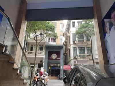 Bán tòa văn phòng 11 tầng đẹp nhất phố Lê Ngọc Hân, Q.Hai Bà Trưng, bán tòa văn phòng 11 tầng