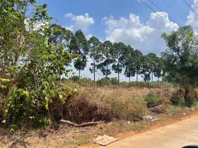 Chính chủ cần bán lô đất 3 mặt tiền tại xã Túc Trưng, huyện Định Quán, tỉnh Đồng Nai
