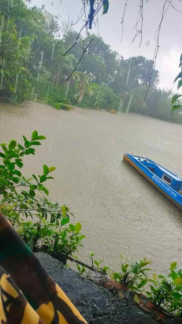 Chính chủ bán nhanh nhà vườn tại Phước Tần, xã Mỹ Phước, huyện Hòn Đất, tỉnh Kiên Giang