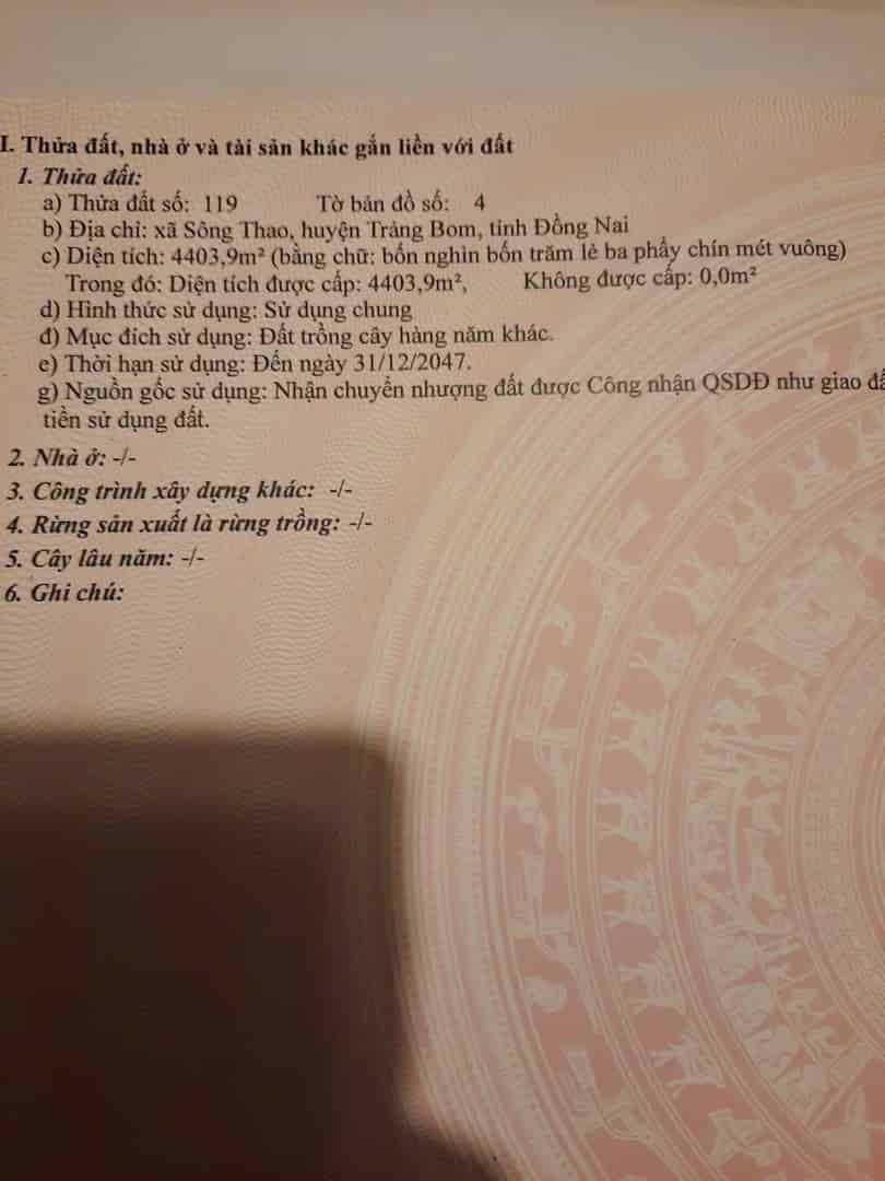 Đất đẹp, đầu tư sinh lời, chính chủ cần bán nhanh lô đất xã Sông Thao, Trảng Bom, Đồng Nai