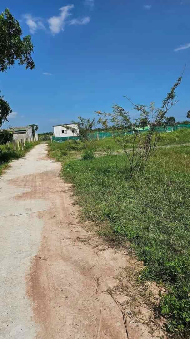 Chính chủ cần bán nhanh lô đất tại huyện Hàm Thuận Bắc, tỉnh Bình Thuận