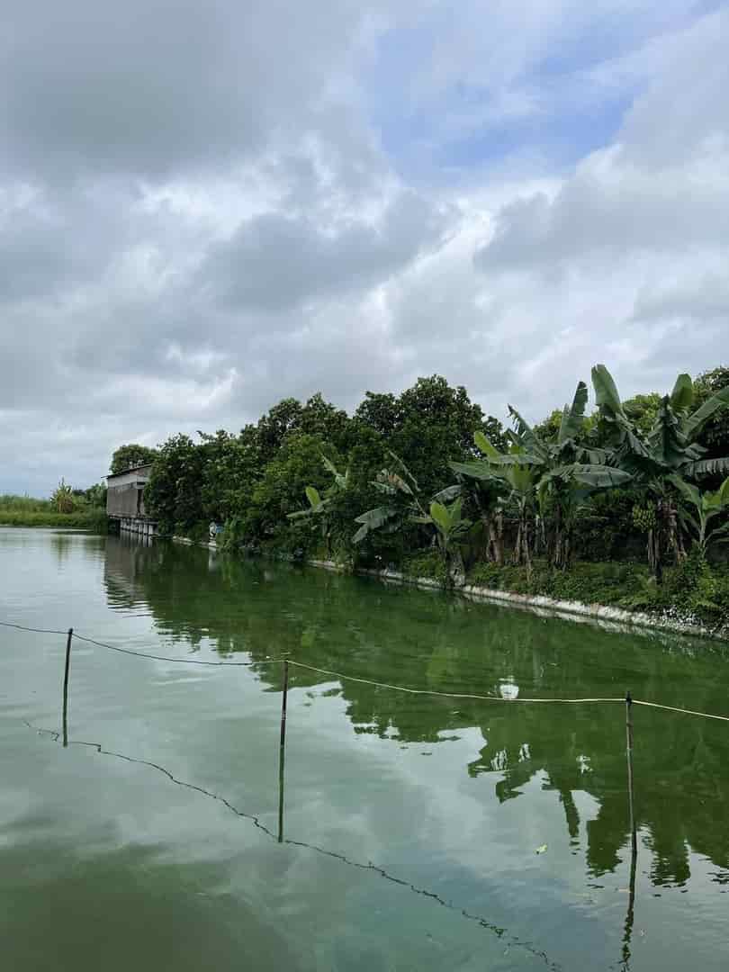 Đất đẹp, giá tốt, chính chủ cần bán lô đất vị trí đẹp tại xã Thái Dương, Bình Giang, Hải Dương