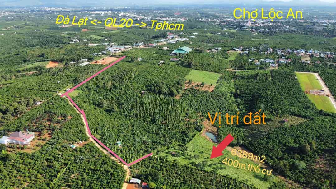 Đất đẹp giá tốt bán nhanh vườn cây ăn trái 6389m2 Xã Lộc An, Huyện Bảo Lâm