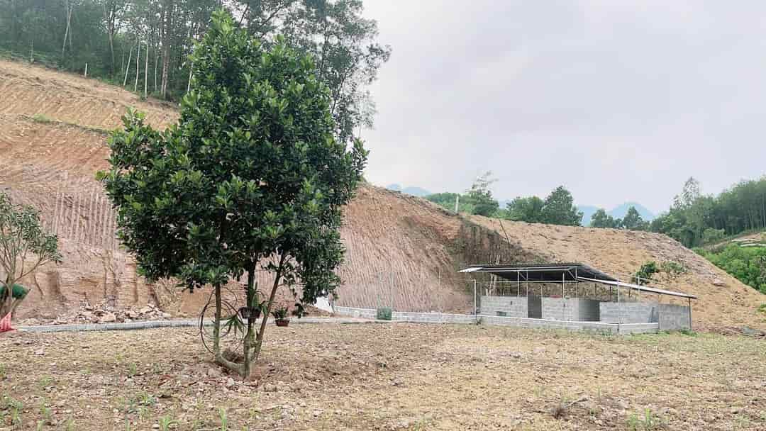 Bán đất tặng nhà mới xây full nội thất tại Xã Thượng Long, Yên Lập, Phú Thọ, giá cực rẻ