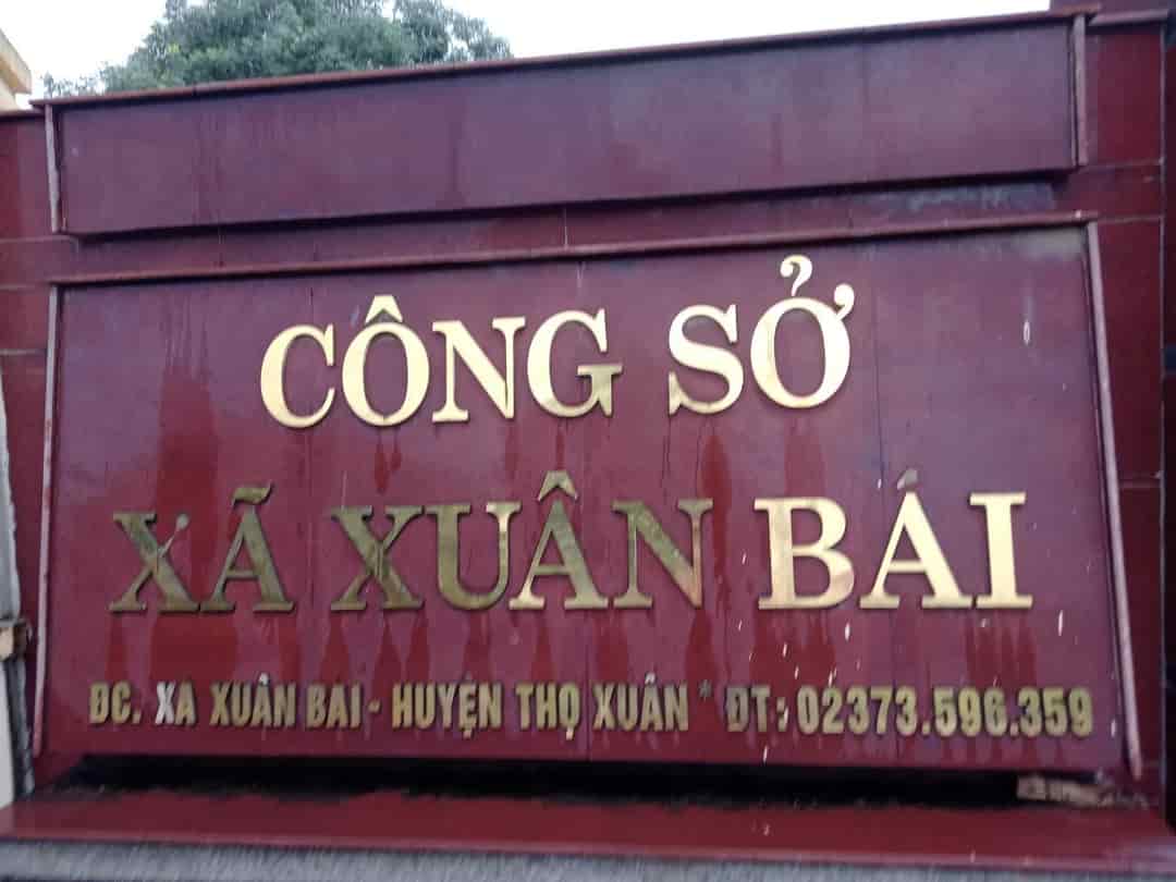 Chính chủ cần bán 2 lô đất vị trí đẹp tại xã Xuân Bái, huyện Thọ Xuân, tỉnh Thanh Hóa