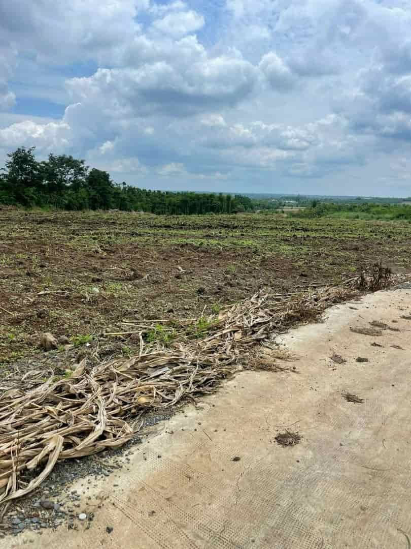 Đất đẹp, đầu tư sinh lời, chính chủ cần bán nhanh lô đất xã Sông Ray, Cẩm Mỹ, Đồng Nai