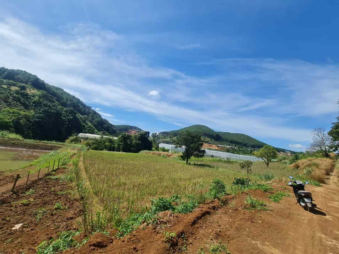 Sào đất vườn Mê Linh giáp suối thích hợp trồng trọt tại ven Đà Lạt