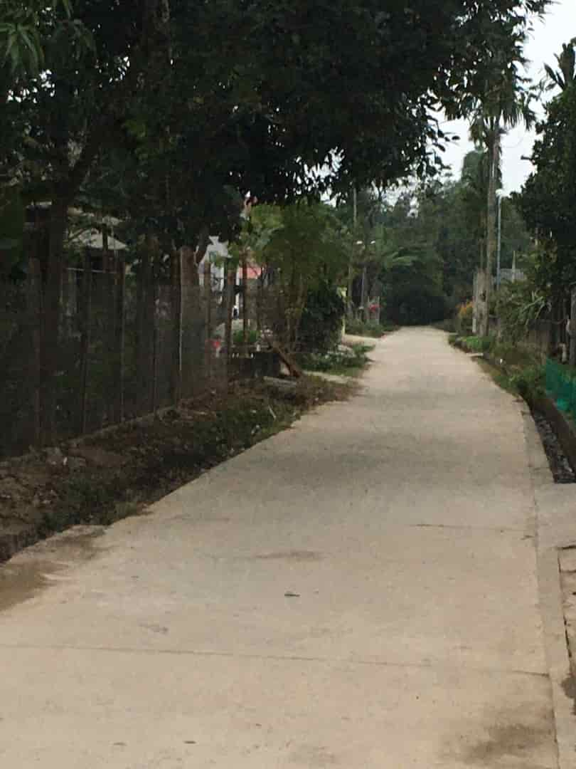 Chính chủ cần bán lô đất tại thôn Bình Minh, xã Y Can, huyện Trấn Yên, tỉnh Yên Bái