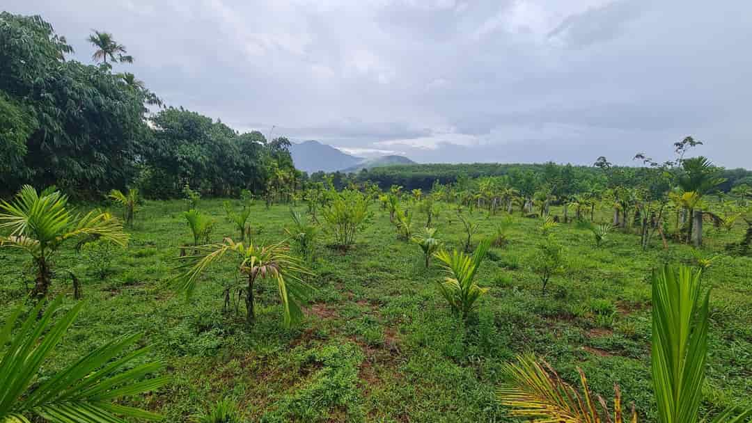 Cần bán lô đất tại xã Hoà Ninh, huyện Hoà Vang, thành phố Đà Nẵng, 470 triệu