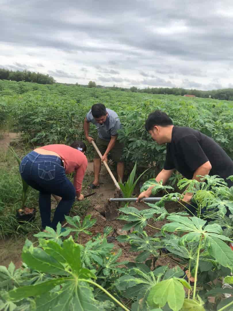 Sweet Garden Bình Long Bình Phước dọc bờ hồ