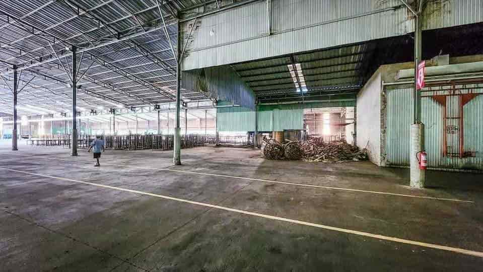 Cho thuê xưởng cưa xẻ gỗ tại Tân Thành, Đồng Xoài, Bình Phước giá siêu rẻ chỉ 180tr cho 8000m2