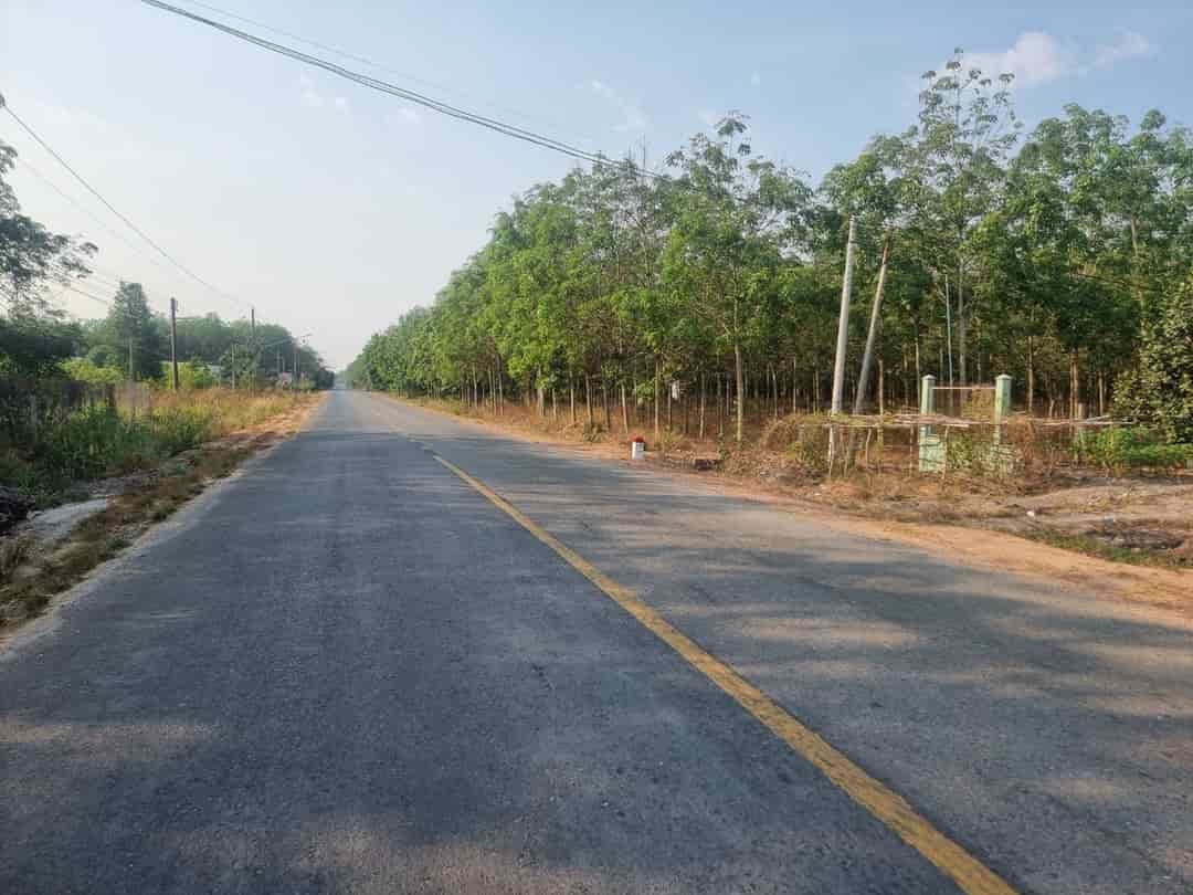 Bán đất Lộc Ninh, diện tích 6.3 Ha, đất Cảnh Lộc Ninh có 200m2 Ong Trống, mặt tiền 41m, nở hậu, đường ĐT