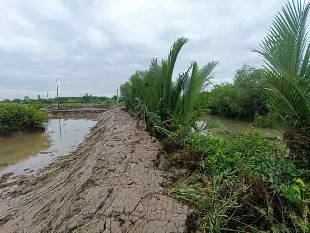 Chính chủ bán đất mặt tiền ấp Long Bào, xã Phước Lại, huyện Cần Giuộc, tỉnh Long An