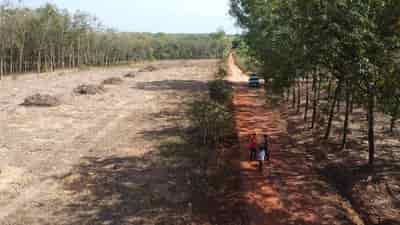 Bán đất phân lô 120m mặt tiền Minh Hòa Dầu Tiếng
