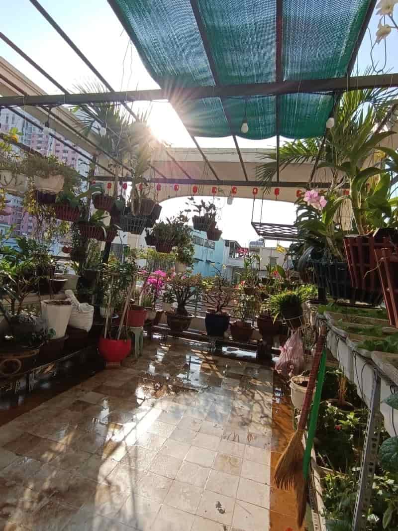 Bán nhà mặt tiền 80m2, Cô Giang, quận 1, 4 tầng  giá 37 tỷ