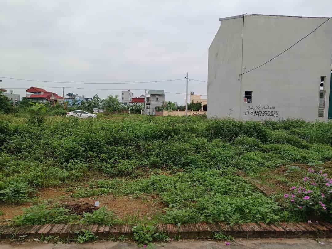 Bán 51m đất tổ 10, thị trấn Quang Minh, Mê Linh, HN, đất ở 100%, giá 1,66 tỷ.