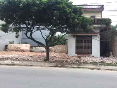Chính chủ cho thuê nhà đất 292.8m2 tại mặt tiền đường TL 419 xã Quảng Bị, Chương Mỹ, Hà Nội