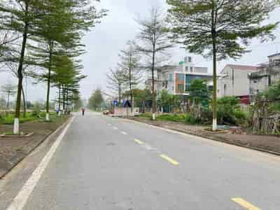 Đất Dabaco Thuận thành, vew công viên trường học, sổ đỏ thơm phức, giá chỉ từ 3 tỷ