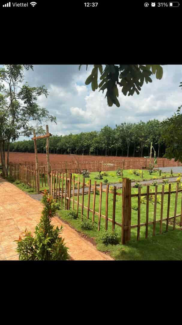 Bán đất tại Chơn Thành mở rộng sổ hồng riêng có thổ cư