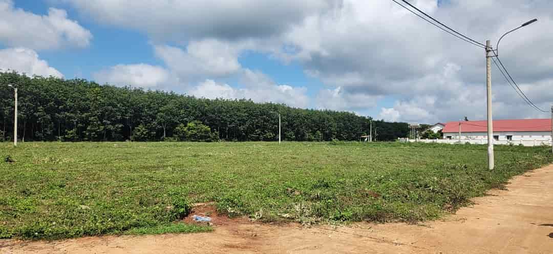 Bán đất đấu giá ngay ủy ban xã Phú Lộc, Krong Năng