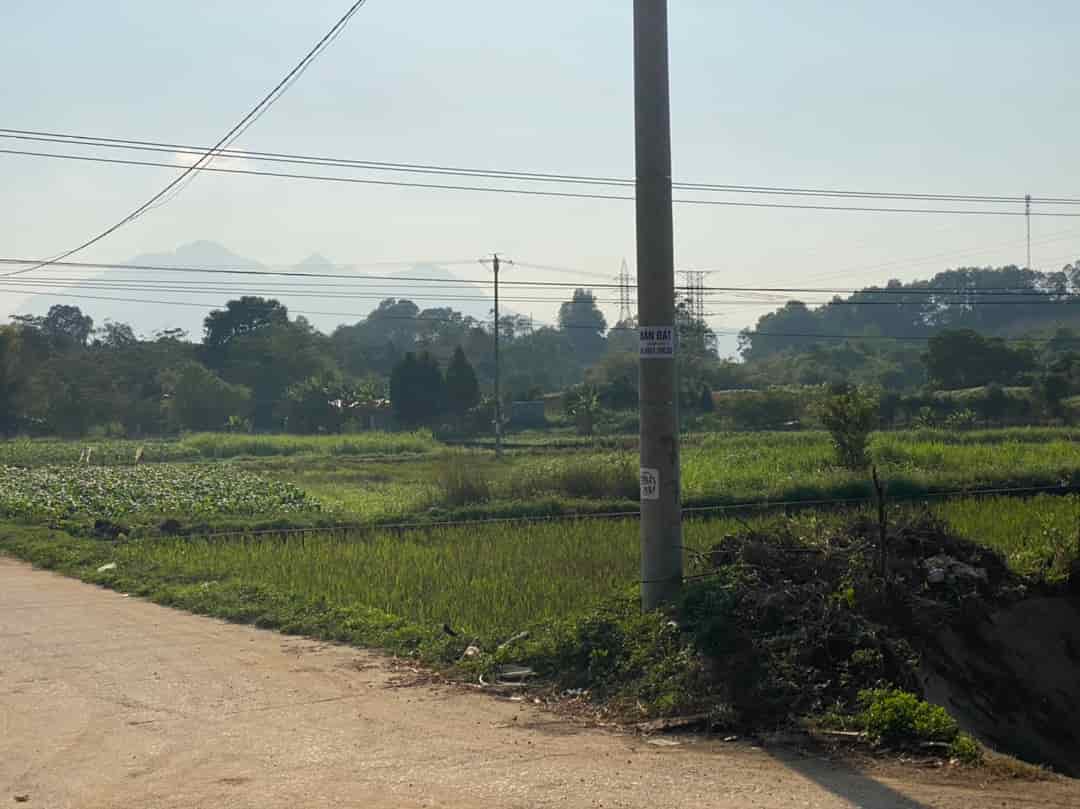 Gia đình cần bán đất ở khu tái định cư Đồng Láng, Văn Khê, xã Xuân Sơn, Thị xã Sơn tây, Hà Nội