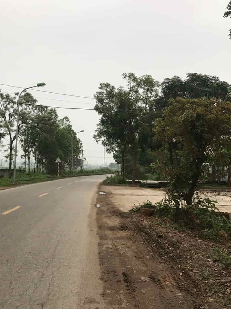 Gia đình cần bán đất ở khu tái định cư Đồng Láng, Văn Khê, xã Xuân Sơn, Thị xã Sơn tây, Hà Nội