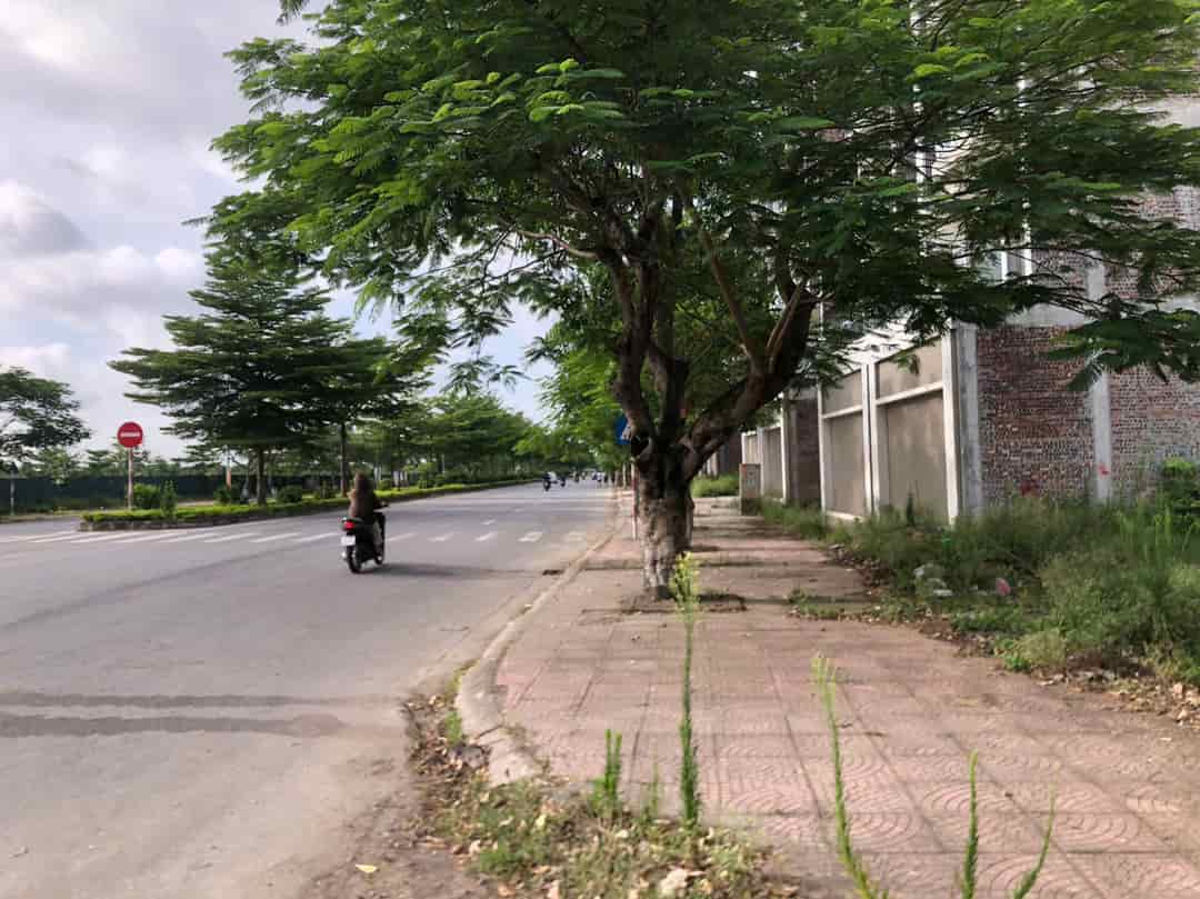 Cần tiền bán lô đất nền shophouse diện tích 141m2 thuộc khu vườn hồng, Đồng Kỵ, TP Bắc Ninh