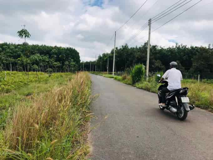 Hàng ngộp, bán đất mt nhựa Minh Hòa Dầu Tiếng diện tích 4000m2, giá chỉ 1tỷ5, sổ hồng riêng.